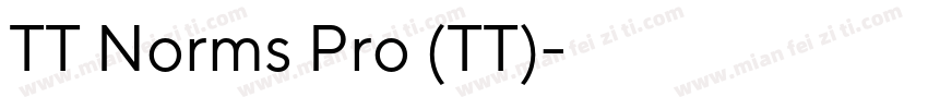 TT Norms Pro (TT)字体转换